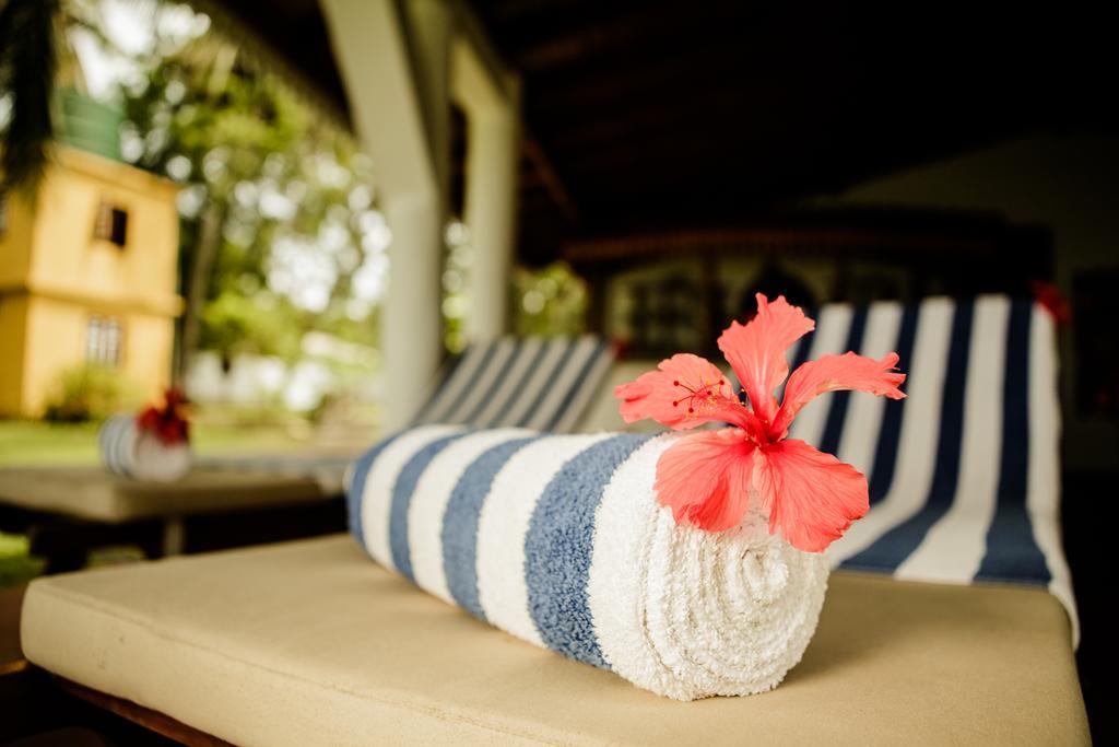 Thaulle Ayurveda Resort - Yala Tissamaharama Luaran gambar